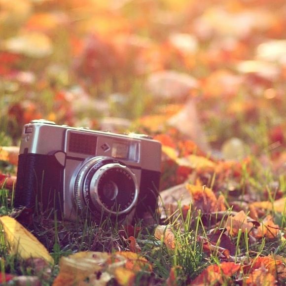 Meet your Posher, Jamie - Picture 1 of 1